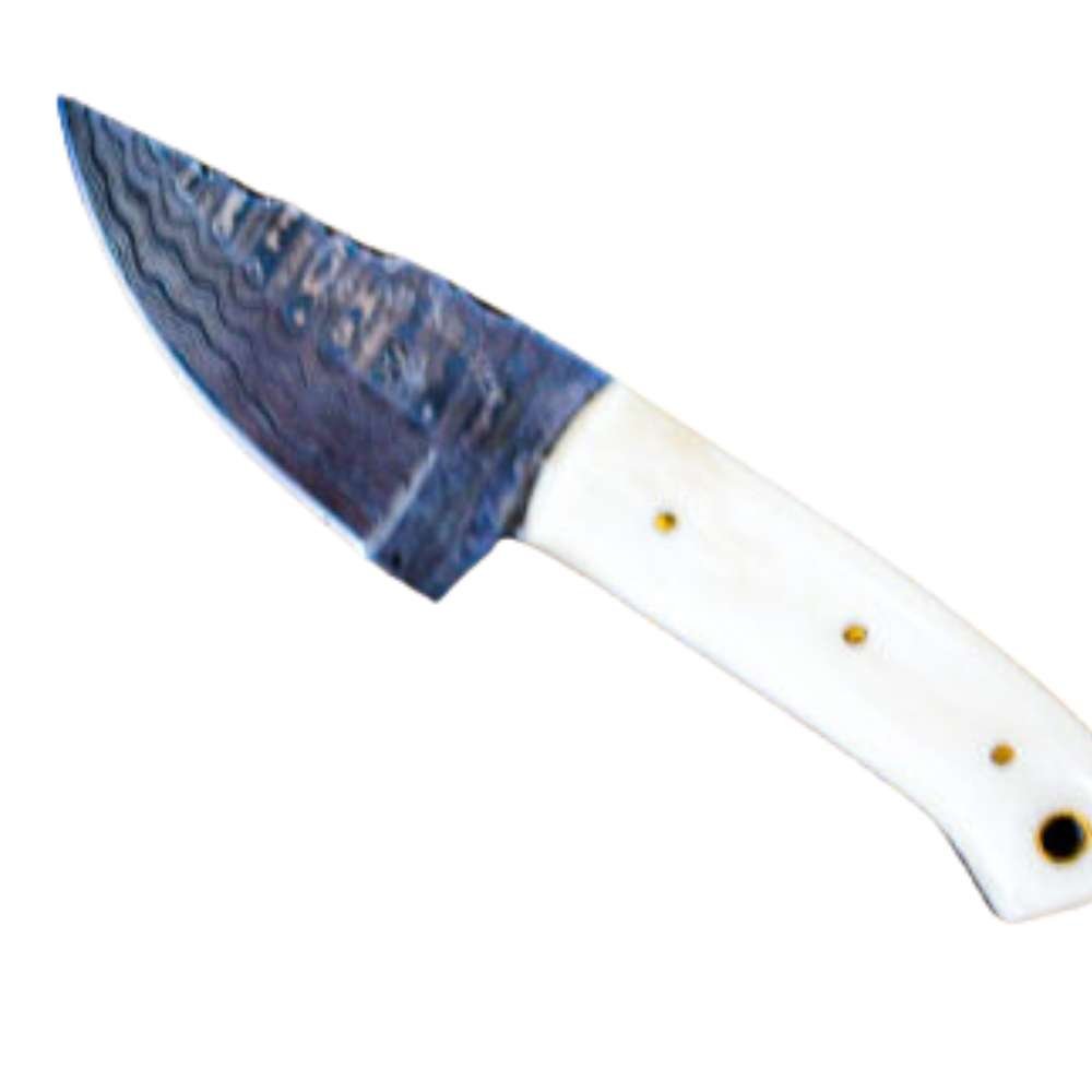 Small Clip Point Skinner